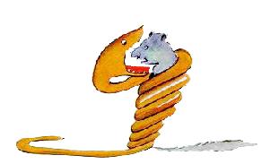 یک مار بوآ که دارد حیوانی را میبلعد یک مار بوآ که دارد حیوانی را میبلعد