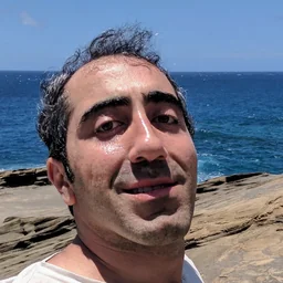 Behdad in 2017